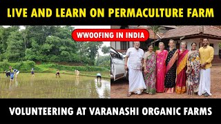 WWOOFing in Permaculture Farm  Varanashi Organic Farms  Live and learn on Sustainable Farm [upl. by Sigler504]