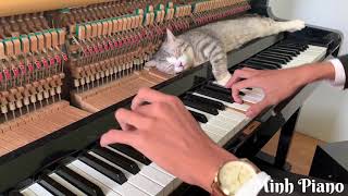 Fur Elise Piano Meowssage [upl. by Ennoitna]