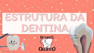 ENTENDA A ESTRUTURA DA DENTINA  RESUMOS DE ODONTO [upl. by Dahlia]