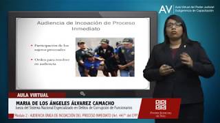 Audiencia Única de Incoación del Proceso Inmediato Art 447 del CPP [upl. by Salene207]