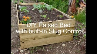 DIY Raised bed garden with builtin slug control [upl. by Malva]