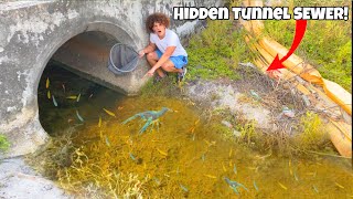 I Caught AQUARIUM FISH In HIDDEN TUNNEL Sewer [upl. by Elyrrad411]