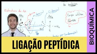 LIGAÇÕES PEPTÍDICAS BIOQUÍMICA [upl. by Aita]