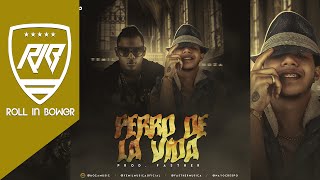 Boza Ft Yemil  Perro De La Vida Official Audio [upl. by Jaban898]