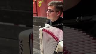 French waltz musette on accordion [upl. by Barton619]