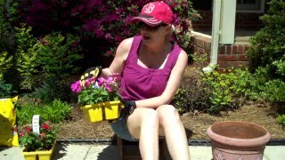 Using Pine Cones in Planters [upl. by Sagerman]