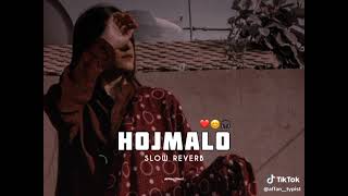 HO JAMALO Slowed and reverb [upl. by Anem]