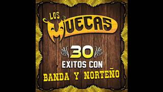 Los Muecas  30 Exitos Con Banda Y Norteño Disco Completo [upl. by Ninos301]