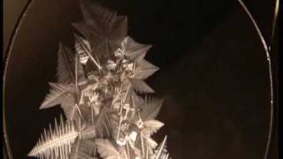 ice crystals and supercooled water [upl. by Aicram]