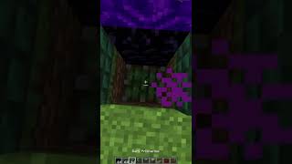 Creeper Nether Portal  But with Secret Entrance [upl. by Goraud]