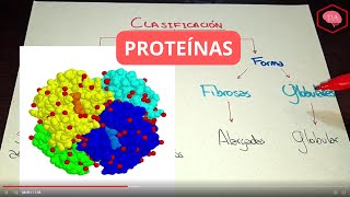 Proteínas Bioquímica FÁCIL y sencilla [upl. by Wiener]