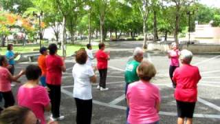 La Despedida Merengue Zumba Gold Con Inesita Parque de los Proceres [upl. by Tasiana486]