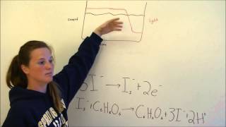 Coulometric Titration Lab Video [upl. by Cilurzo]