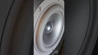 SB Acoustics Subero 8quot Subwoofer Bass Test bass [upl. by Pedroza]