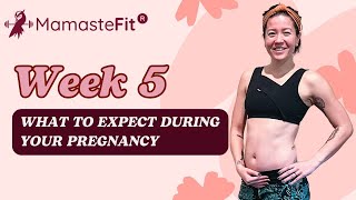 Week 5 What to Expect During Your Pregnancy  Ginas Pregnancy Journey [upl. by Enamart326]