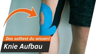 Kniegelenk ERKLÄRT in 10 Minuten  Aufbau und Anatomie  Andiletics [upl. by Nnaj]