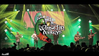 THE WHISTLIN DONKEYS  EBRINGTON SQUARE DERRY 2021 [upl. by Kale247]