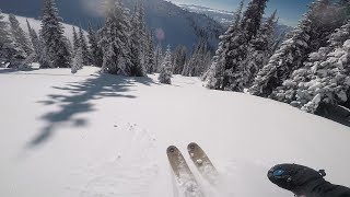 Powder Skiing  Revelstoke British Columbia [upl. by Hike]