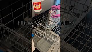 How to Clean a Dishwasher shorts cleaningtips [upl. by Diane-Marie]