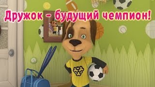 Барбоскины  Дружок будущий чемпион мультфильм [upl. by Aikas136]