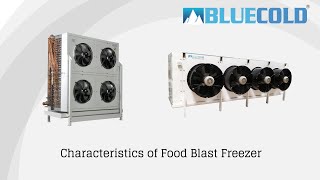 Characteristics of Blast Freezer [upl. by Yroggerg37]