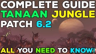 Patch 62 Tanaan Jungle amp Rep Guide  All You Need to Know [upl. by Warrick]