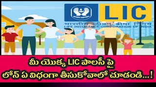 LIC పాలసీ పై లోన్ ఏ విధంగా తీసుకోవాలిHow to take loan on LIC policy in Telugu Sangareddy [upl. by Lipp351]