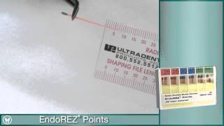 Root Canal Obturation using EndoEze EndoREZ from Ultradent [upl. by Elletnahs]