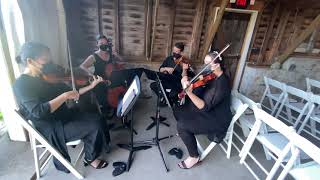 Bridgerton Spring Recomposed by Max Richter performed by String Quartet [upl. by Eugine]