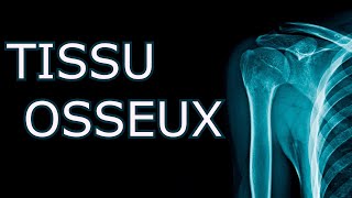 HISTOLOGIE  TISSU OSSEUX  COURS DÉTAILLÉ [upl. by Olaznog]