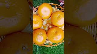 Orange jam recipe [upl. by Leirua]