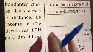 Exam exercice respiration et fermentation [upl. by Dat]