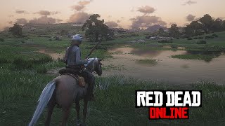 Red Dead Online  All Story Missions amp Cutscenes  Red Dead Redemption 2 Online Gameplay 4K [upl. by Ierdna247]