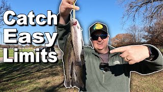 Fly Fishing for Big CT Rainbow Trout [upl. by Kina]