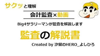 監査とは 【サクッと理解！会計監査の解説書】 [upl. by Gniliem]