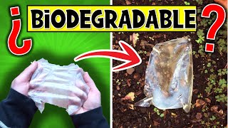 ♻️ ¿El BIOPLÁSTICO Casero es BIODEGRADABLE 😲 Míralo [upl. by Nerb69]