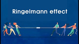 Short Story Ringelmann effect  The reason why social loafing occurs in the organization [upl. by Antonia682]