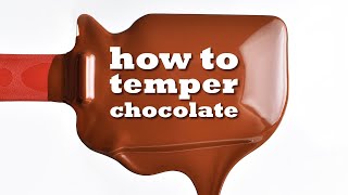 HOW TO TEMPER CHOCOLATE the COMPLETE guide to TABLE TEMPERING [upl. by Nalyk]