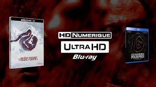 The Crimson Rivers 2000  4K Ultra HD vs Bluray Comparison [upl. by Trebloc154]