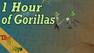 OSRS 1 Hour of Demonic Gorillas  Live Gorillas Example Kills [upl. by Chimene]