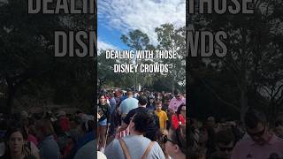 Disney Crowds  Hard Life [upl. by Charlena416]