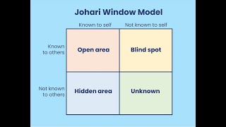 An overview of the Johari Window [upl. by Aerdnwahs709]