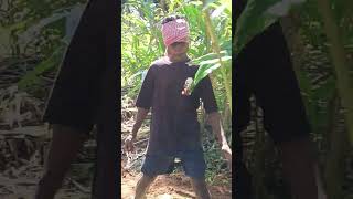 Video nel tabun pe aalu pe landaya abu salak ho huy dariya aa new santhali short video [upl. by Ripley]