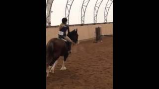 Dourra Jumping 26 jumper course at Rushmount show [upl. by Ail662]