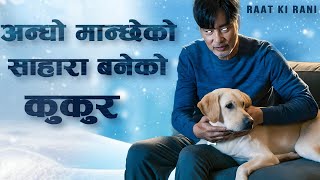 Story of Dog and his Blind Master  Movie Explained in Nepali Raat ki Rani [upl. by Nylzor]