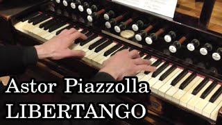 LIBERTANGO  Astor Piazzolla [upl. by Shaff336]