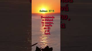 Salmos 375 [upl. by Orson]