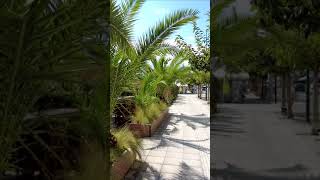 Kalamata Greece Promenade lined with bars and restaurants HD 4K [upl. by Ybeloc677]