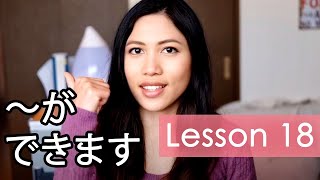 Learn Japanese  Minna No Nihongo Lesson 18 Grammar [upl. by Donoho]