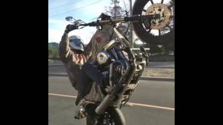 TOP HARLEY CRASHES WHEELIES DRIFTS amp BURNOUTS [upl. by Bishop647]